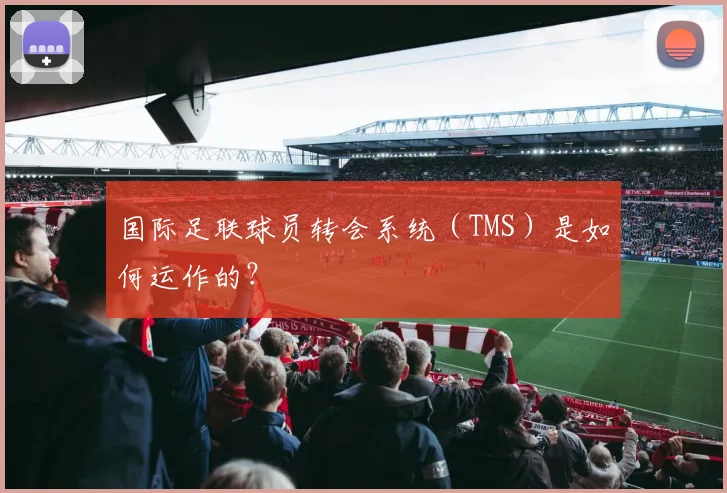 国际足联球员转会系统（TMS）是如何运作的？