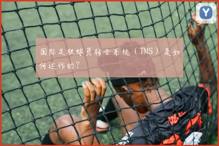 国际足联球员转会系统(TMS)是如何运作的?