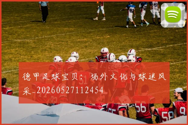 德甲足球宝贝:场外文化与球迷风采_20260527112454